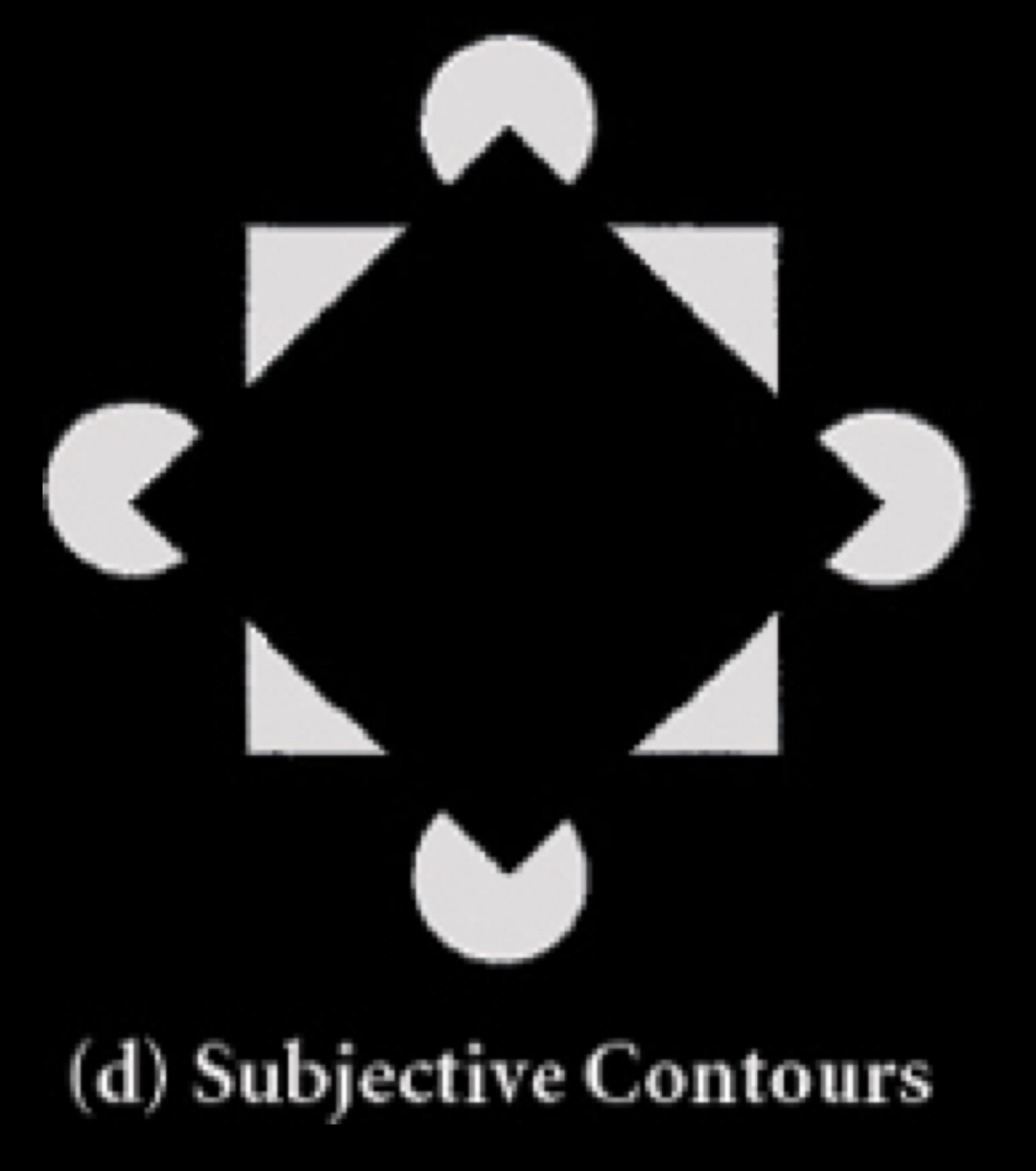 Pasted image 20230821130844.png