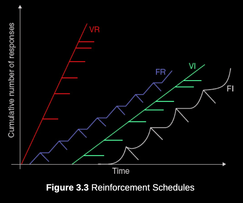 Pasted image 20230925215614.png