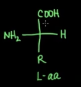 Pasted image 20231025110914.png