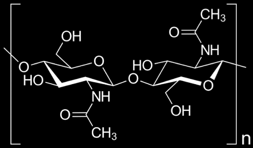 Pasted image 20231113104350.png