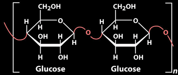 Pasted image 20231113104403.png