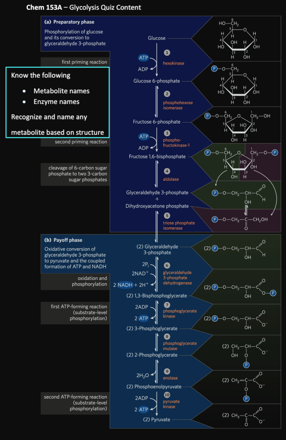 Pasted image 20231116080601.png