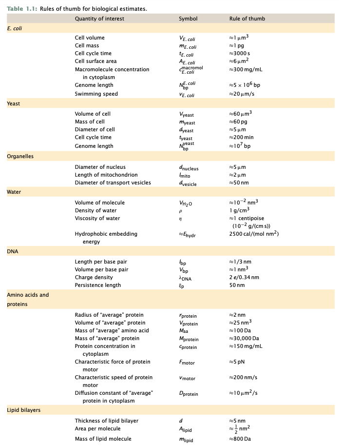 Pasted image 20240129102043.png