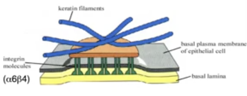 Pasted image 20250508162339.png