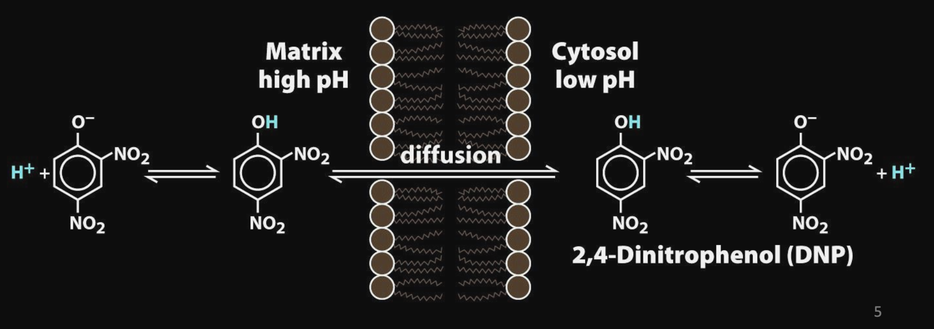 Screenshot 2023-12-08 at 12.29.49 PM.png