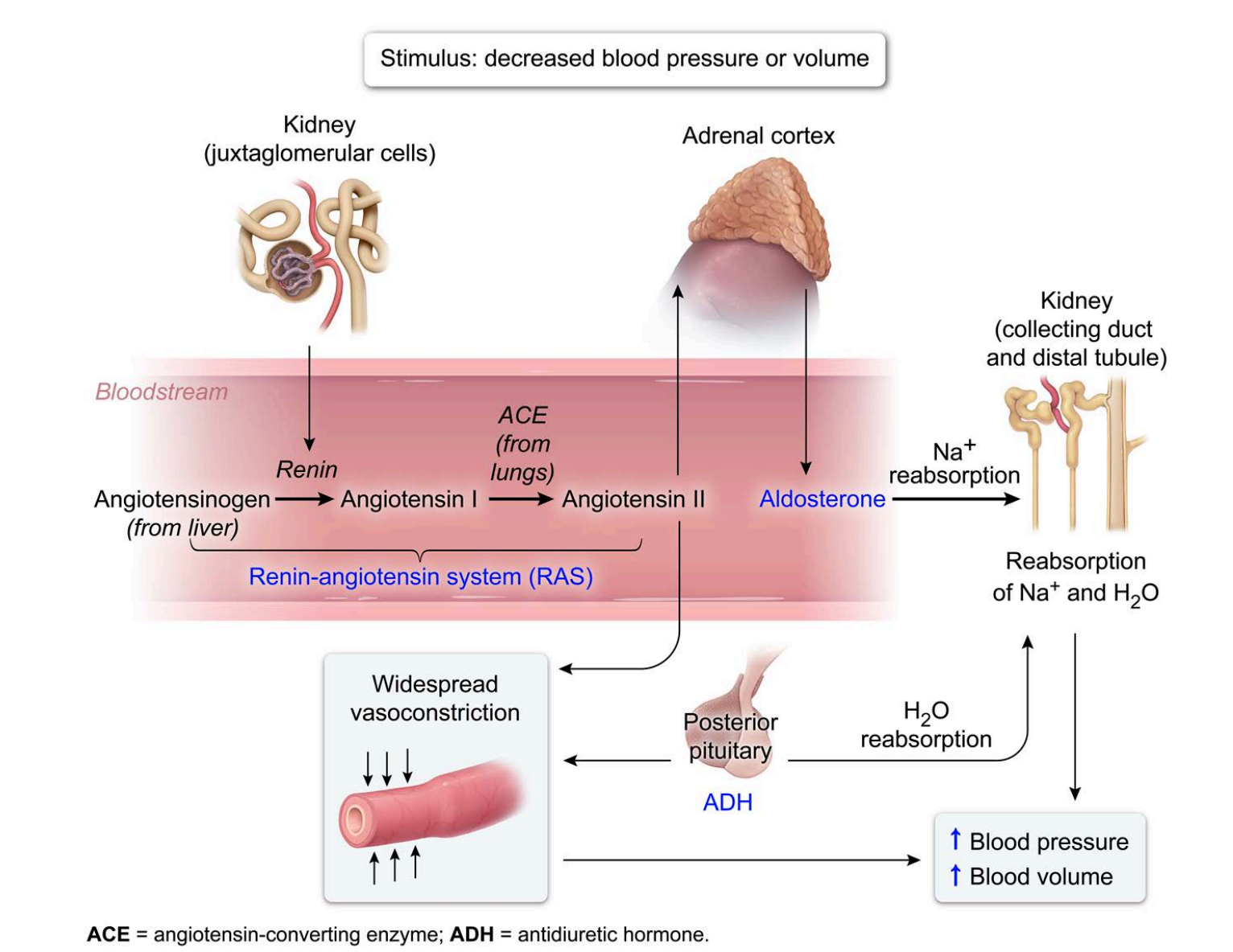 Screenshot 2024-09-13 at 6.12.43 PM.png